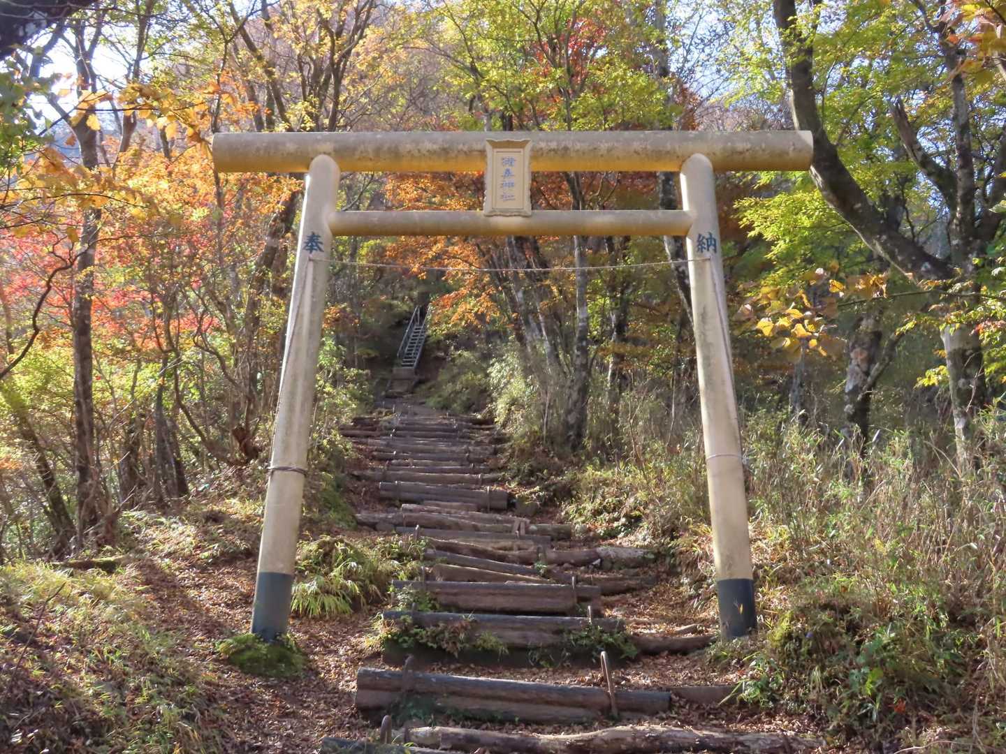 鳥居をくぐって山頂を目指します。