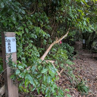 白糸の滝ルート
