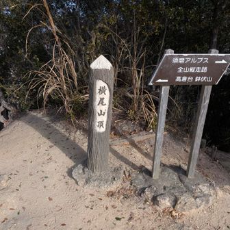 暖かくなってきた