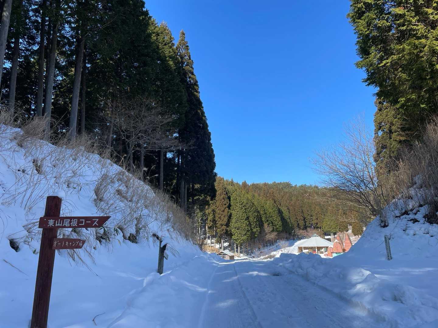 この分岐で東山尾根コースへ➡️