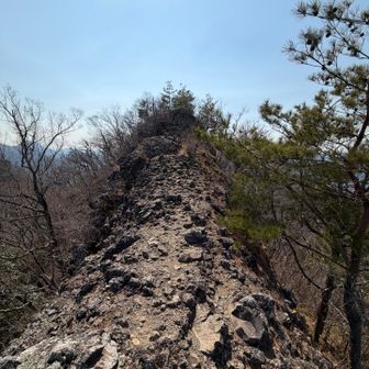 ジャンダルム（茨城）