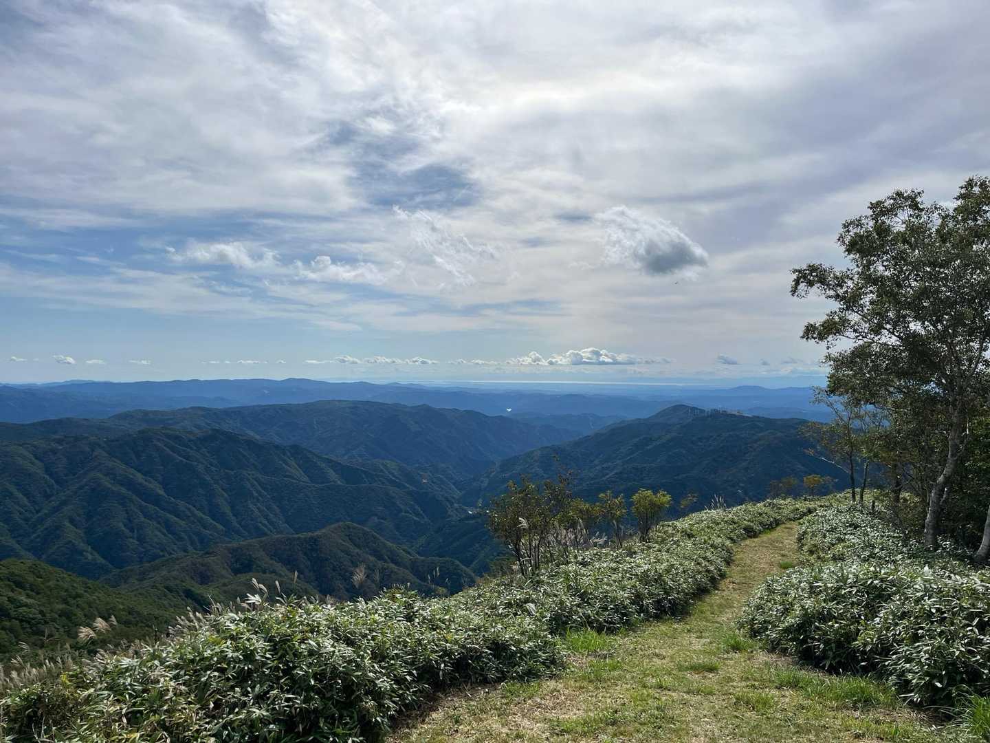 遠く伊勢湾まで見渡せます