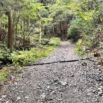 ここからダート．よくしまった砂利道でとても歩きやすいです．