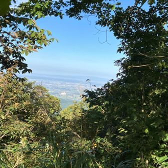 富山市の方が見れました