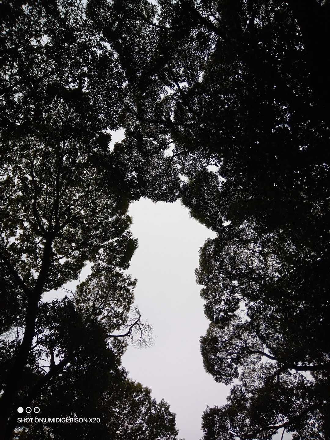 村積山 往復コースの写真