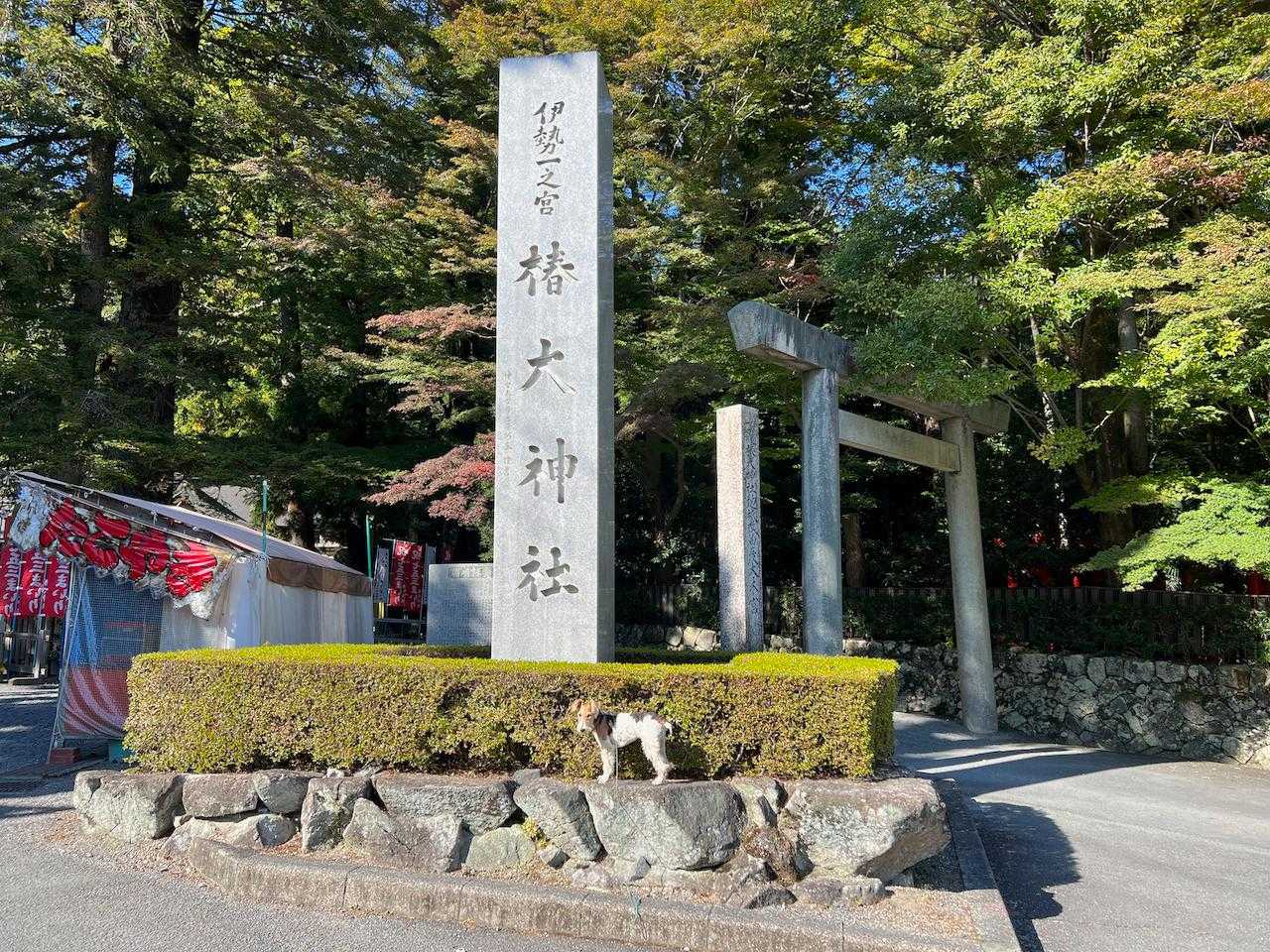 椿大神社
七五三で賑わっていました