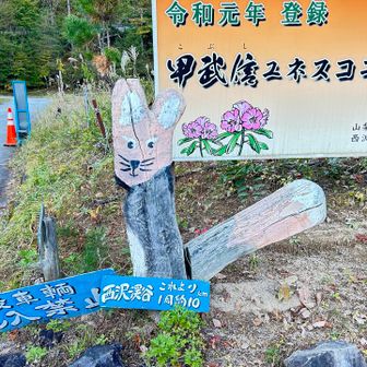 ここからすぐの駐車場へ戻ってYAMAP終了

キツネさん1日たくさん励ましていただき、ありがとうございました