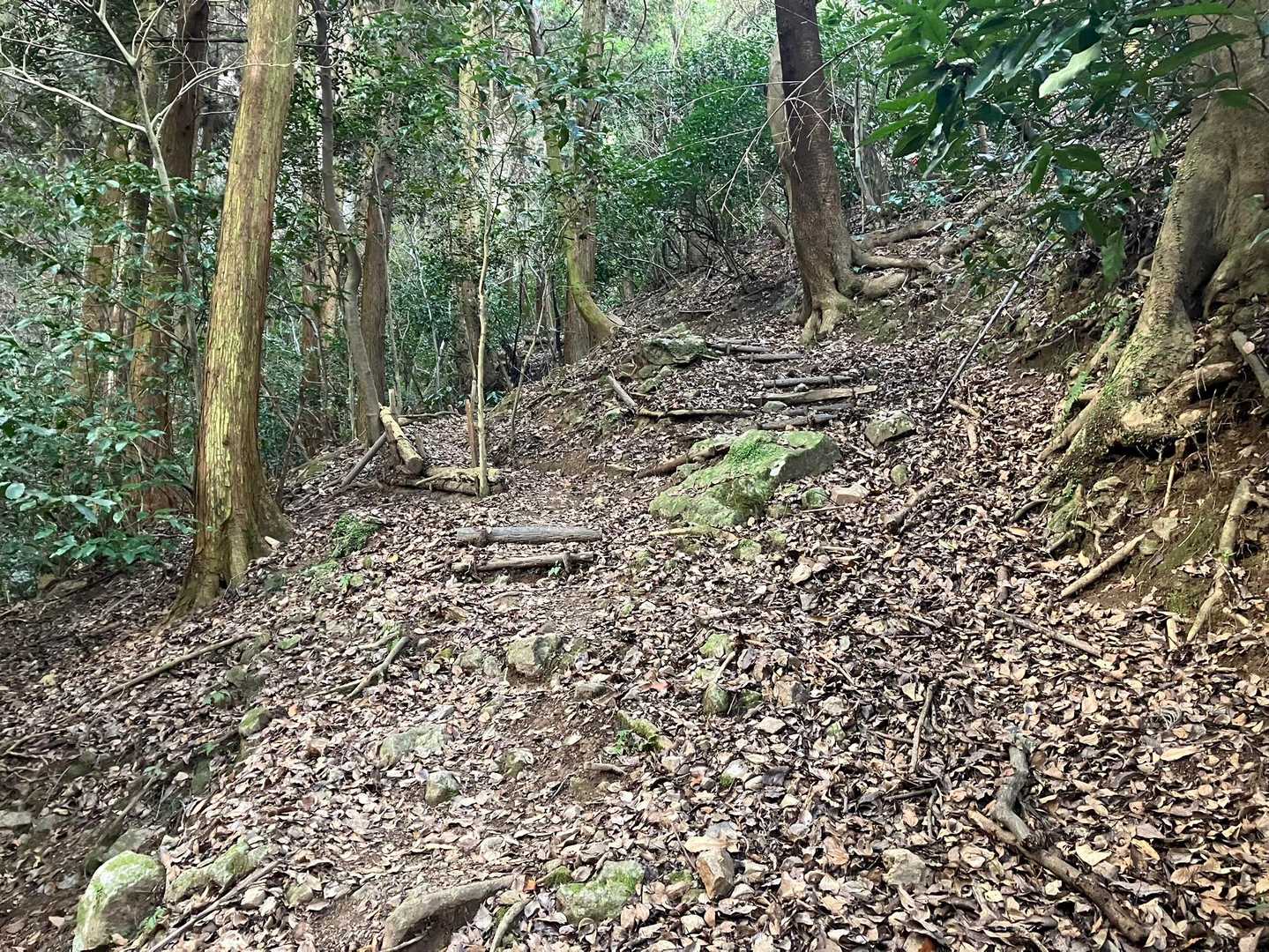 傾斜がきつい💦