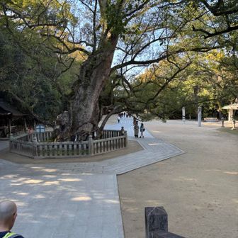 スルスルと一気に下山
久しぶりに夫婦で歩けて満足🤫

この後、道の駅多々羅しまなみ公園で
美味しい🍊ゲット
そして三島♨️の潮湯に
私は大山祇神社の先のマーレグラッシァより三島の湯♨️の方が泉質が好きだ。