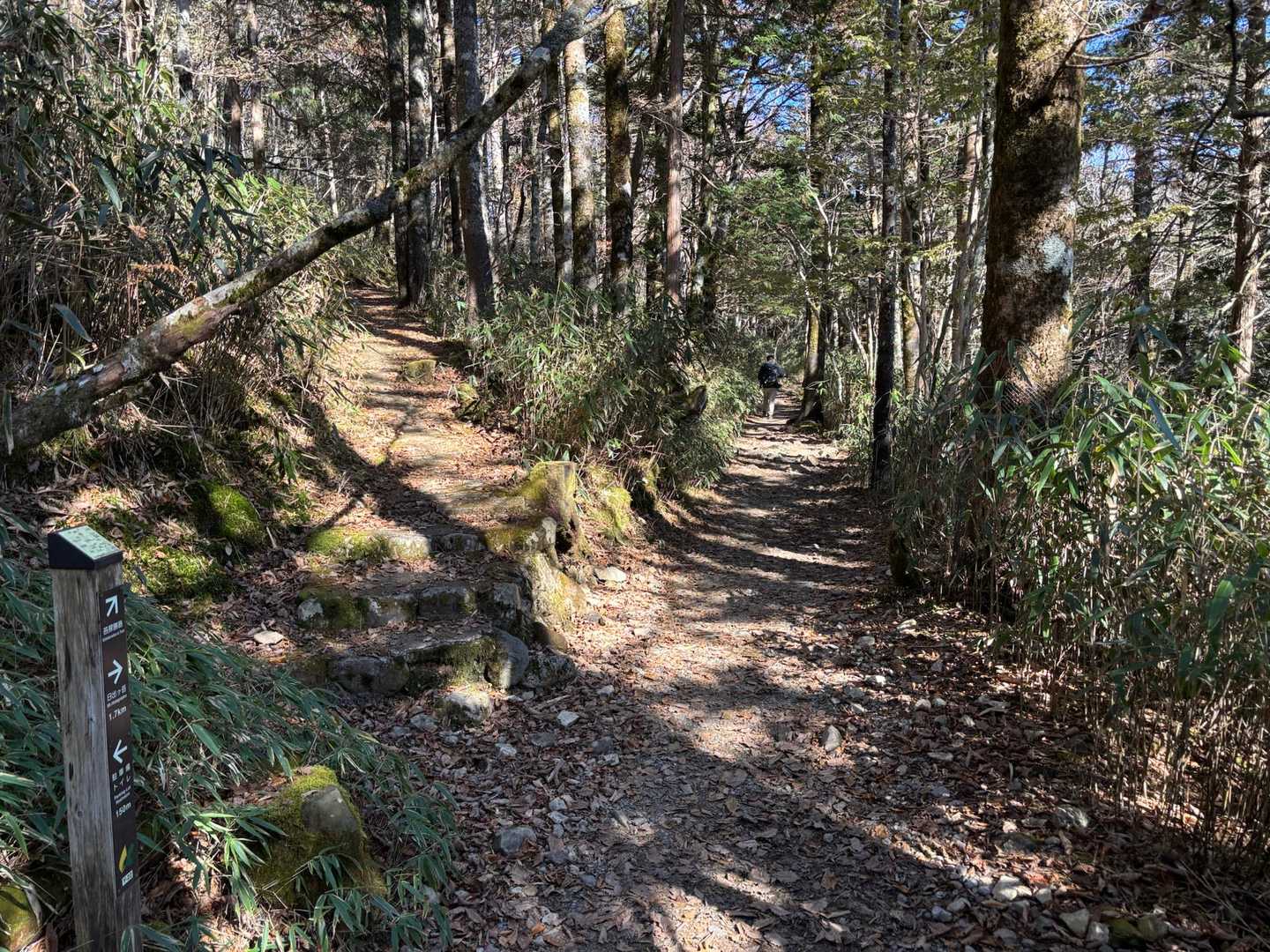 とても整備された登山道です⛰️
普段着の観光客もいらっしゃいます🤗