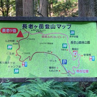 🅿️から左回りに登りました