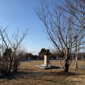 高台にかわらずたたずむグルーム氏