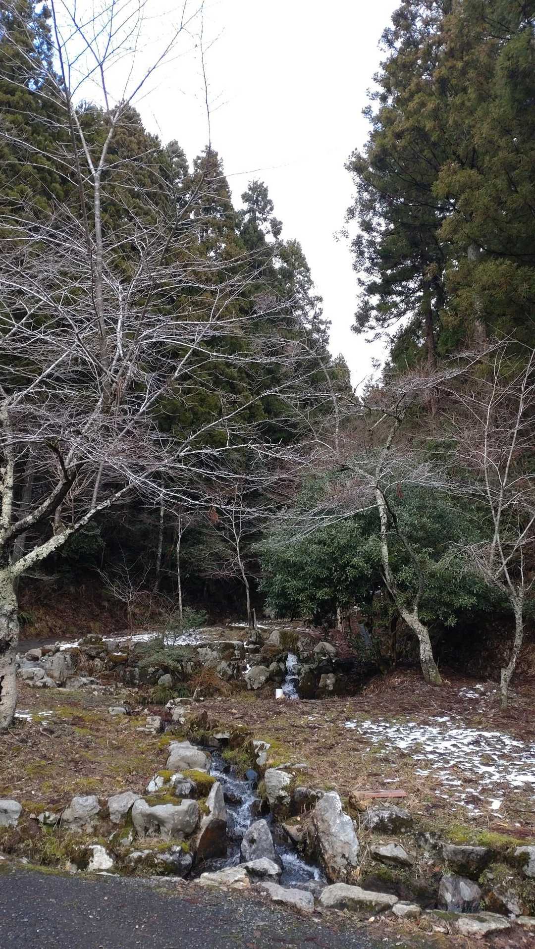 大虫の滝　登山口
