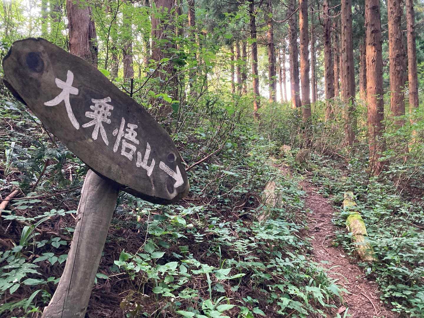 道は歩き易いが…
蜘蛛🕷️の巣🕸️だらけ〰︎😱
