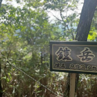 関西百名山1座目登頂
眺望はありません⤵️
