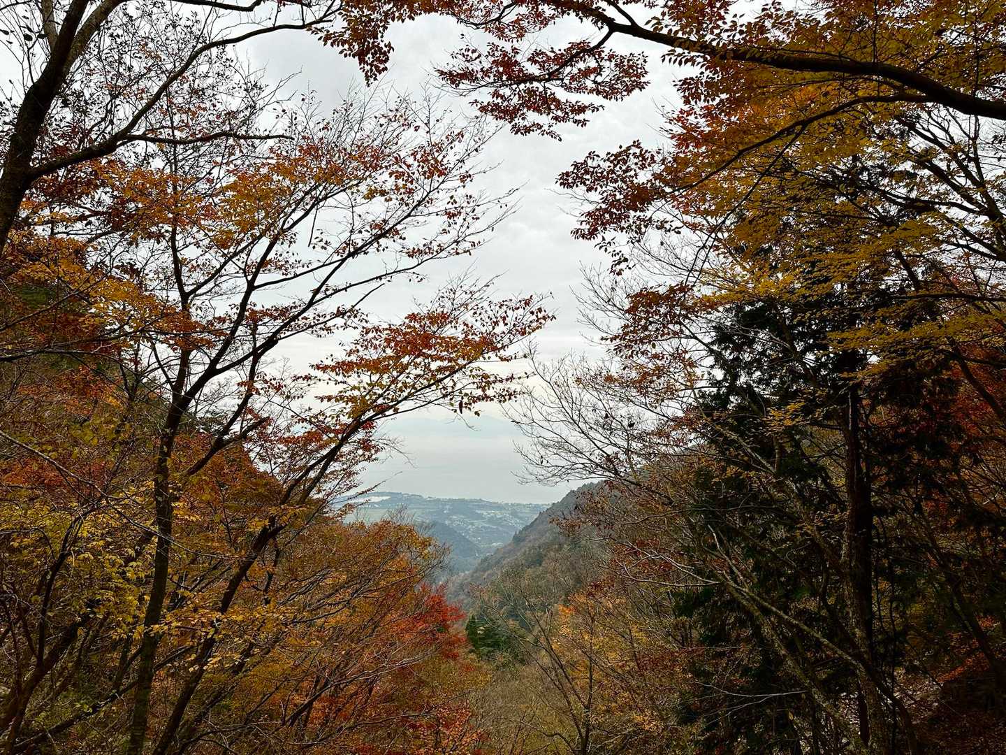 金糞峠-コヤマノ岳-武奈ヶ岳-北比良峠-カモシカ台 周回コースの写真