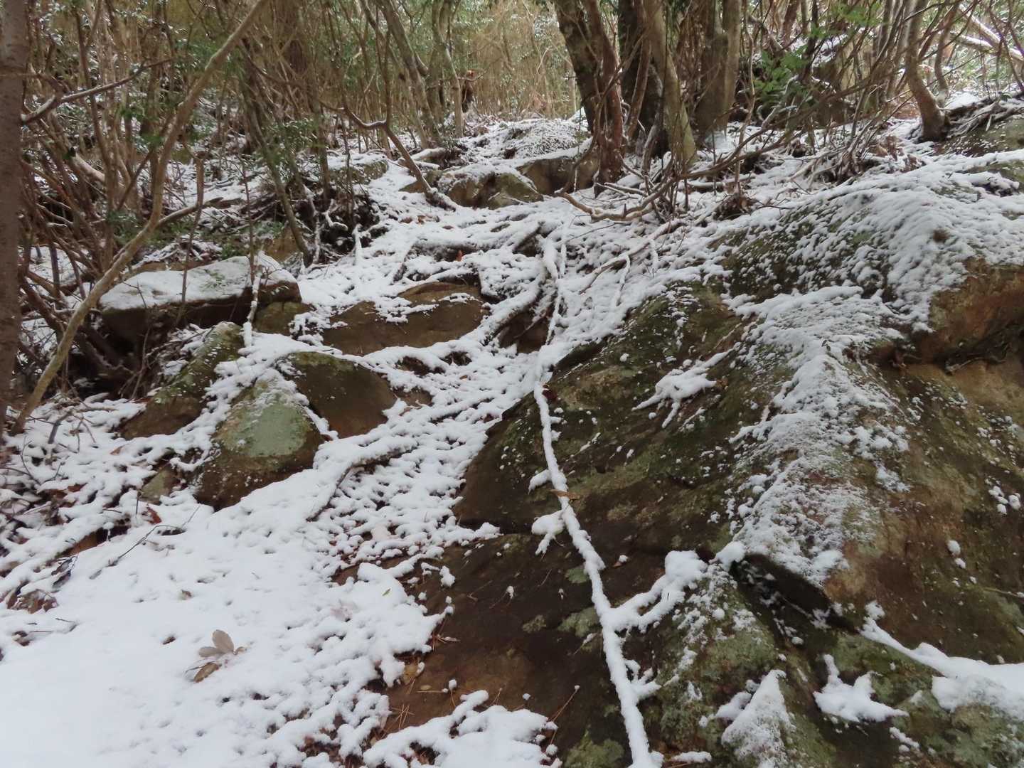 岩場は慎重に