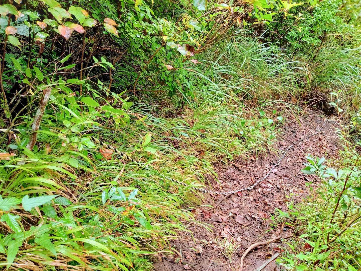 元気に下山↘しましょう
                🙋🙋