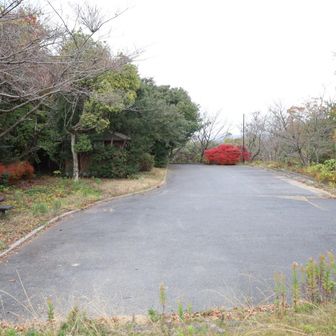 こんなところに駐車場あり
トイレもあるのね