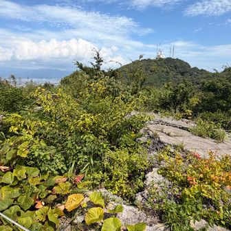 入江山。津軽海峡、御殿山と市街が見えます。