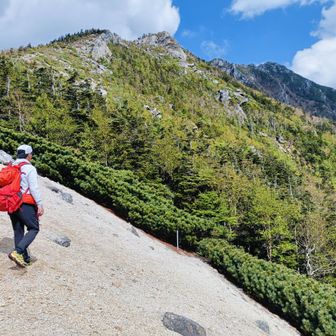 白い棒(画面中央下)のところを下ります