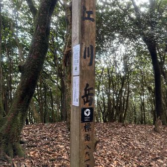 登山証明が作れるみたいです