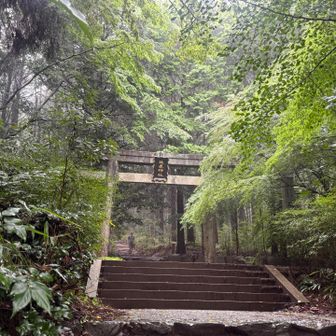 7時にウォーキングセンターに着いたけど
雨がめちゃくちゃ降ってる🤣
あれれ〜おっかしいなぁー😂
これじゃー無理💦
雨が止むまで🚙待機して、
ようやくほぼ☔止んだのでスタート▶️