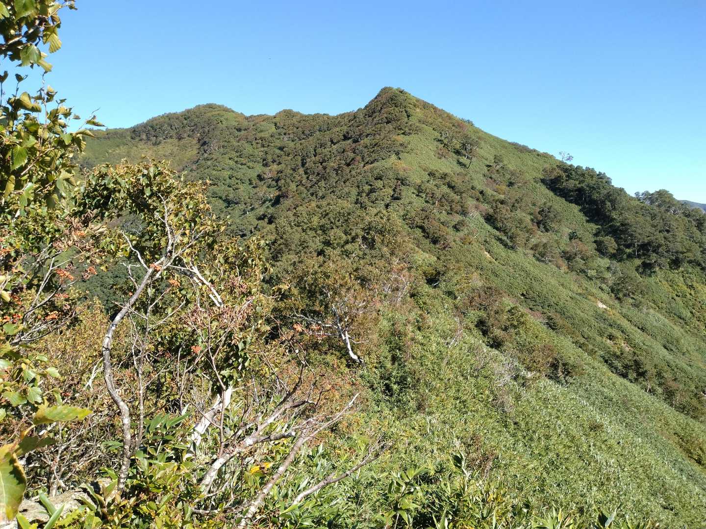 南白水岳の平坦部から刈り登ります