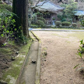 ここにでました。