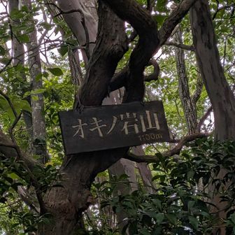 おきのいわやま 1100m