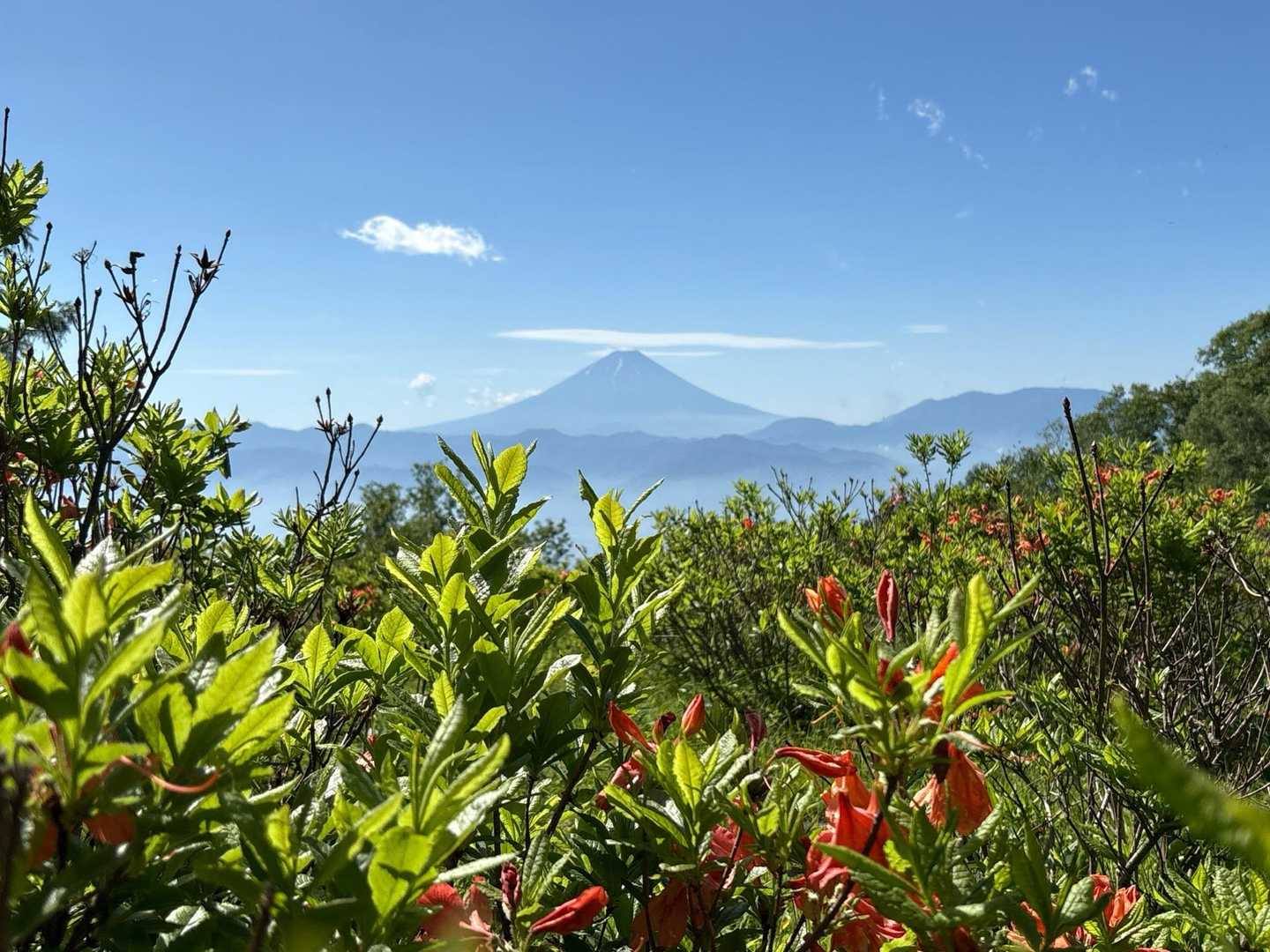 甘利山・千頭星山 | クルマから20分ほどの富士展望峰、鳳凰三山を間近に望む頂への写真