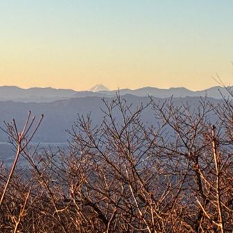 ちょこんと富士山🗻