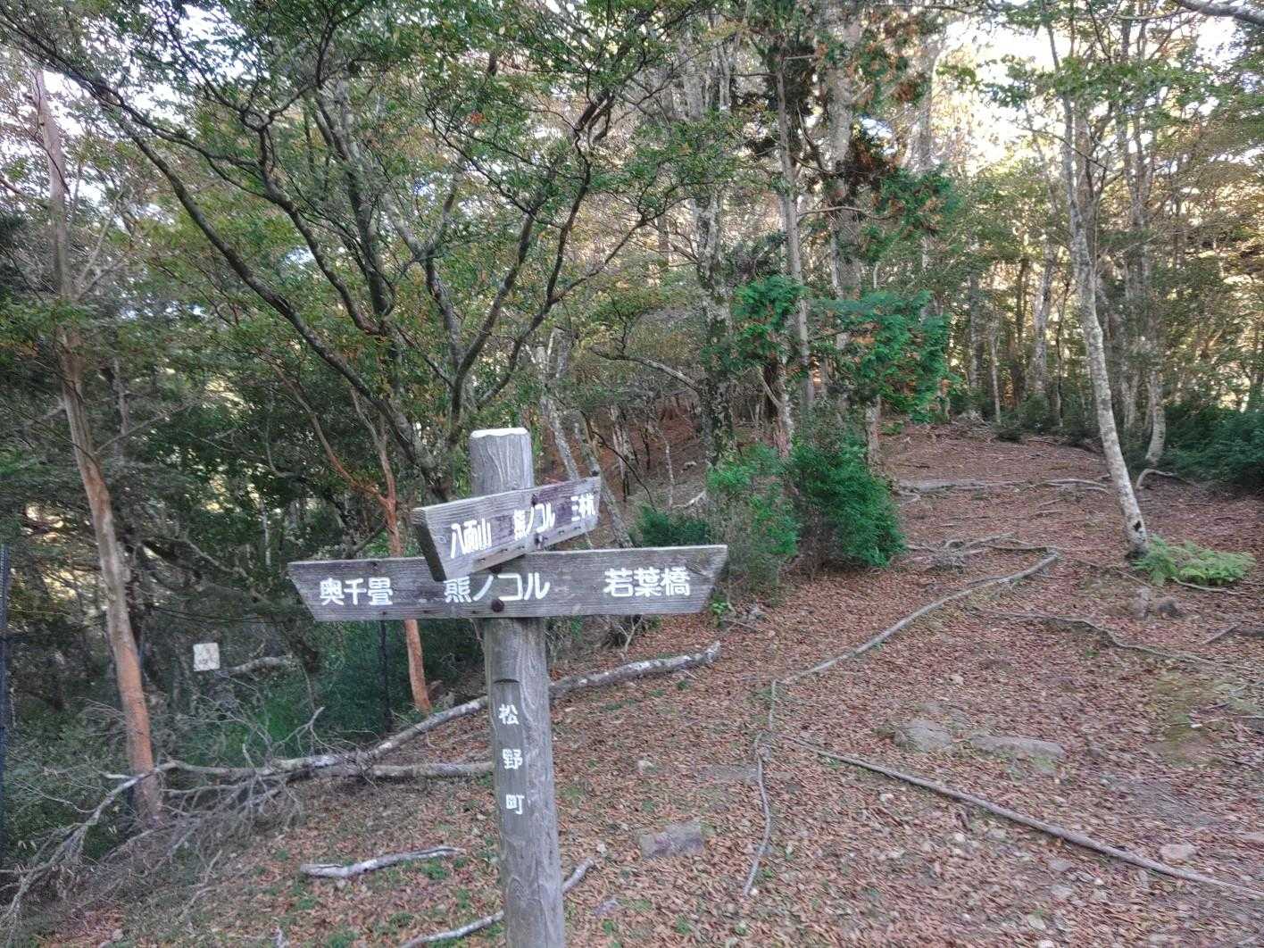 熊のコルまできた。