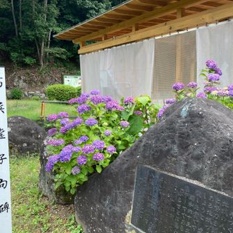 足湯の裏側にアジサイ咲いてました♪♪( ^ω^ )
もうじき長野県でも見られますね！！


足湯にも入ろうと思ってたのですが…なんと工事中でやってませんでした(つД`)ノ