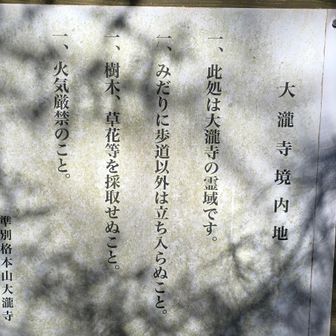 でも歩道ならOKと読めなくもない　ということでイザ