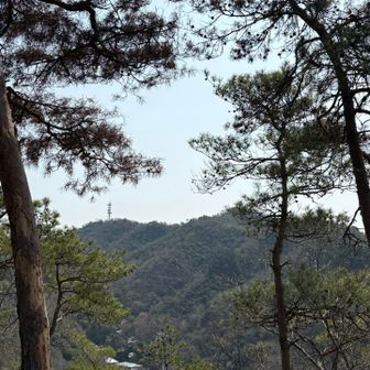 通ってきた明王山の鉄塔