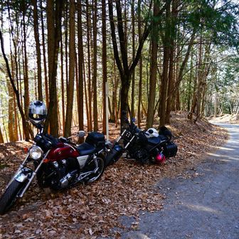 留守番おつかれさん！