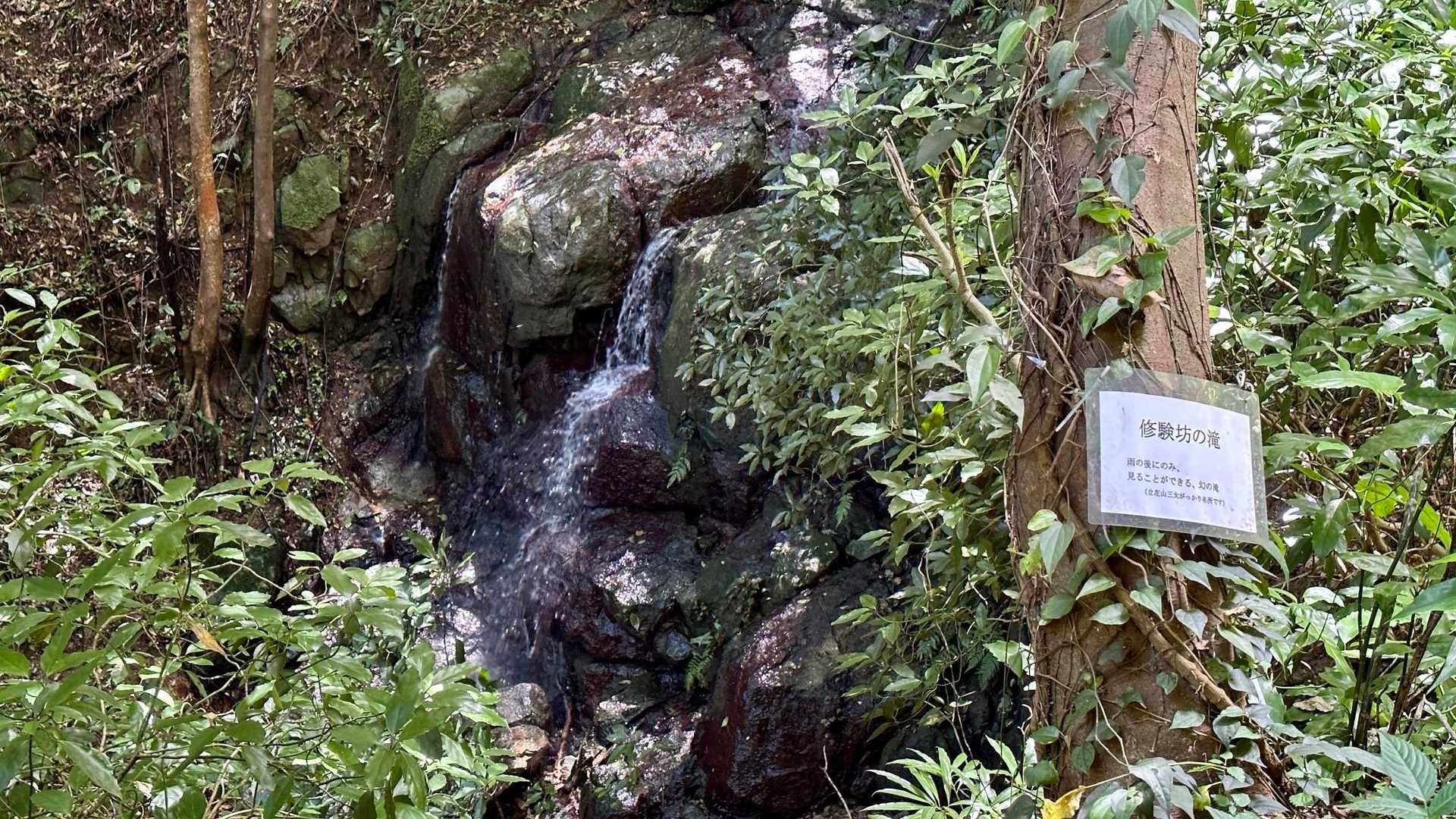 まだ滝は健在。