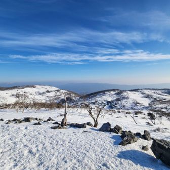 早朝はハイカーさんも少なくて快適⛄
