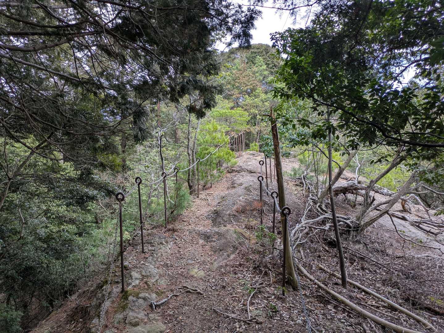 筆捨山 往復コースの写真