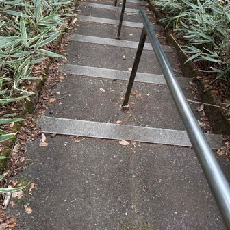 この階段長い…