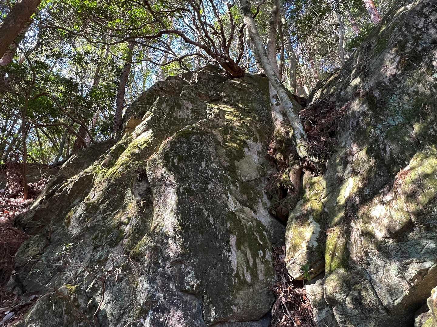 お手頃な岩🪨がところどころにあって、ついつい遊んでしまう。
さすが瑞浪👍