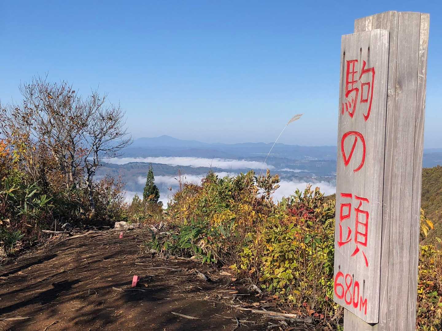 駒の頭から雲海を臨む。
