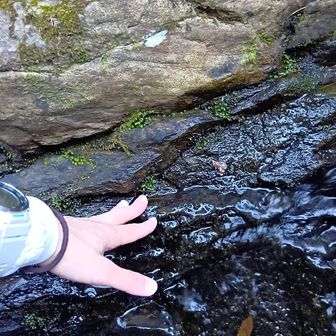 遥かな時の流れに想いを馳せながらタッチ🙂‍↕️
ここから約5億年前（カンブリア紀）地層の上を歩かせていただくトレイルへ。