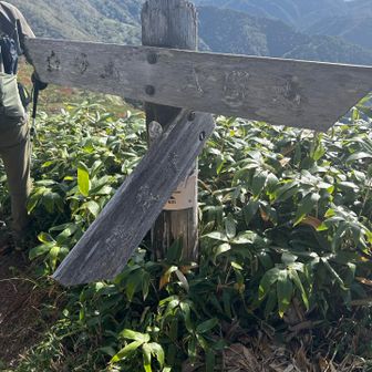 ここで樹林帯と別れ、白砂山～八間山の稜線へ