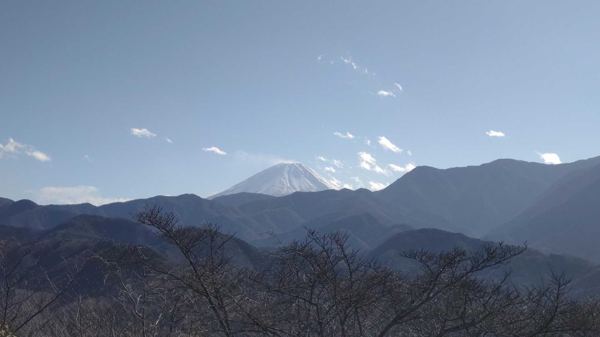 日向山 往復コースの写真