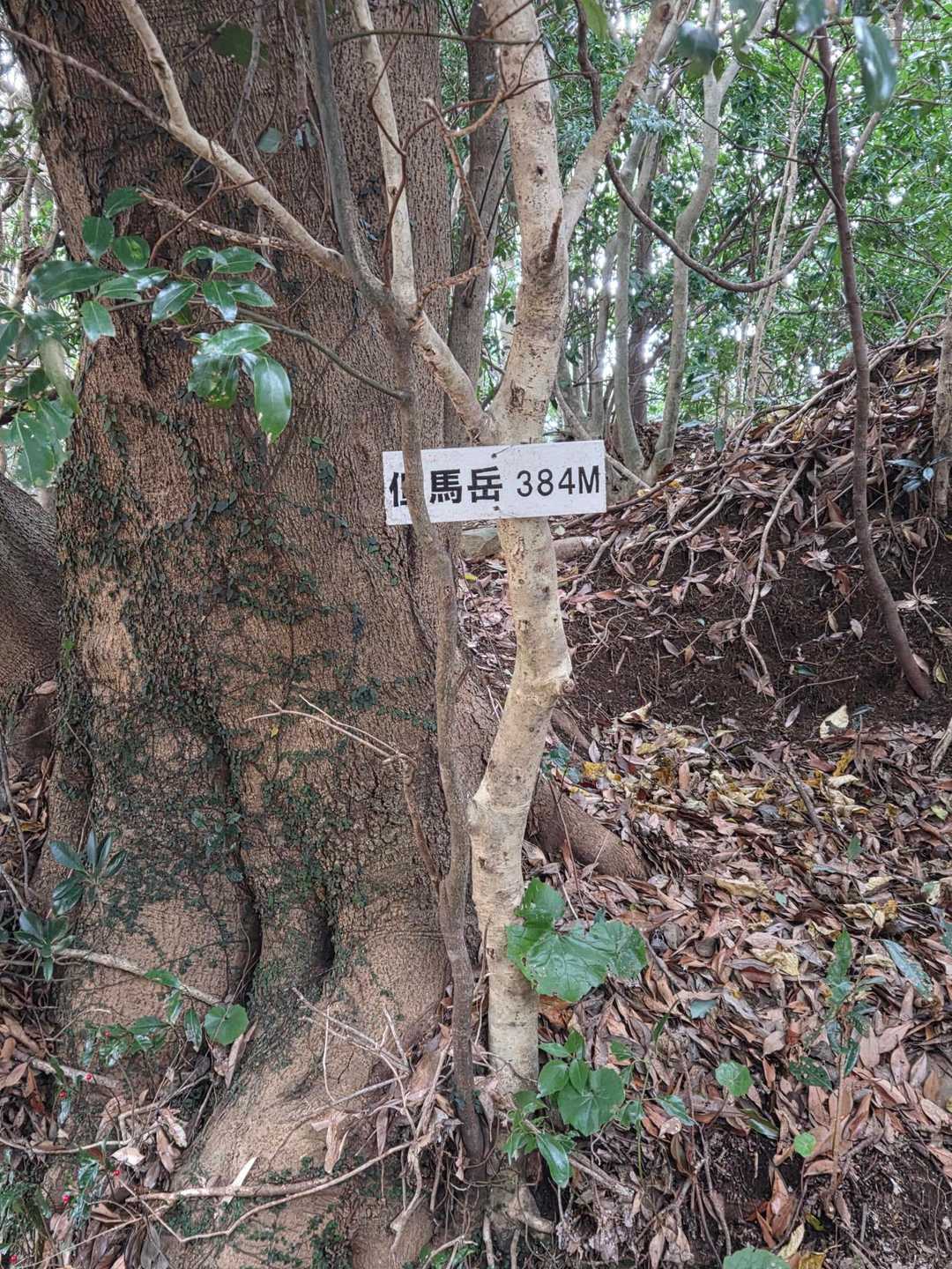 見落としそうになりました😅