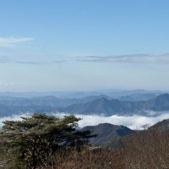 東屋からの眺め