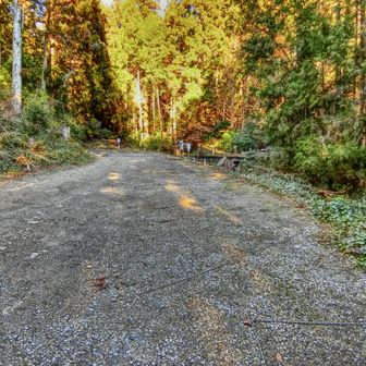 駐車場へ無事下山！