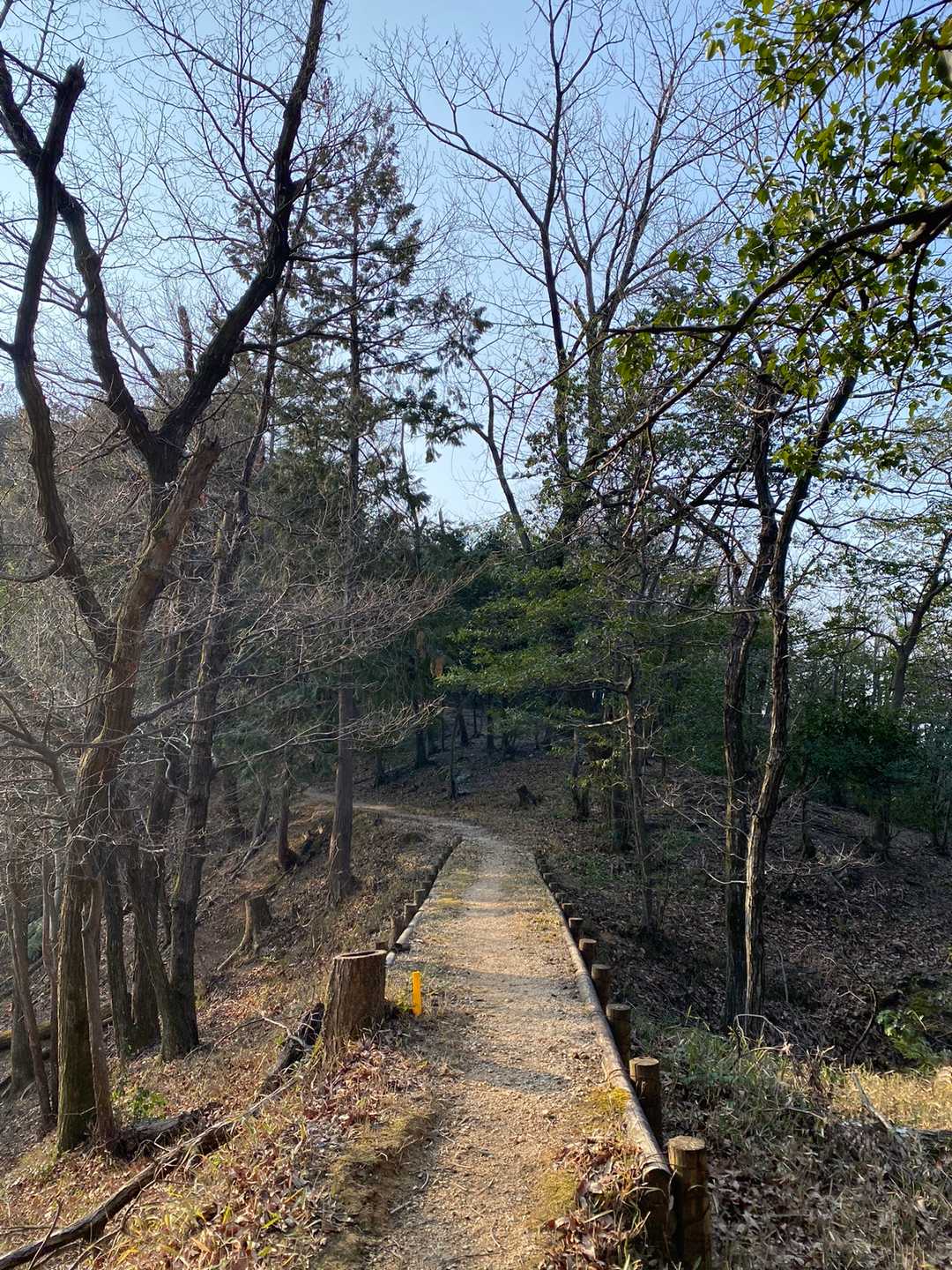 朝日が差して気持ちが良い